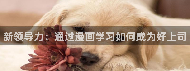 好看的里番动漫网